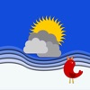 Birdy Weather icon
