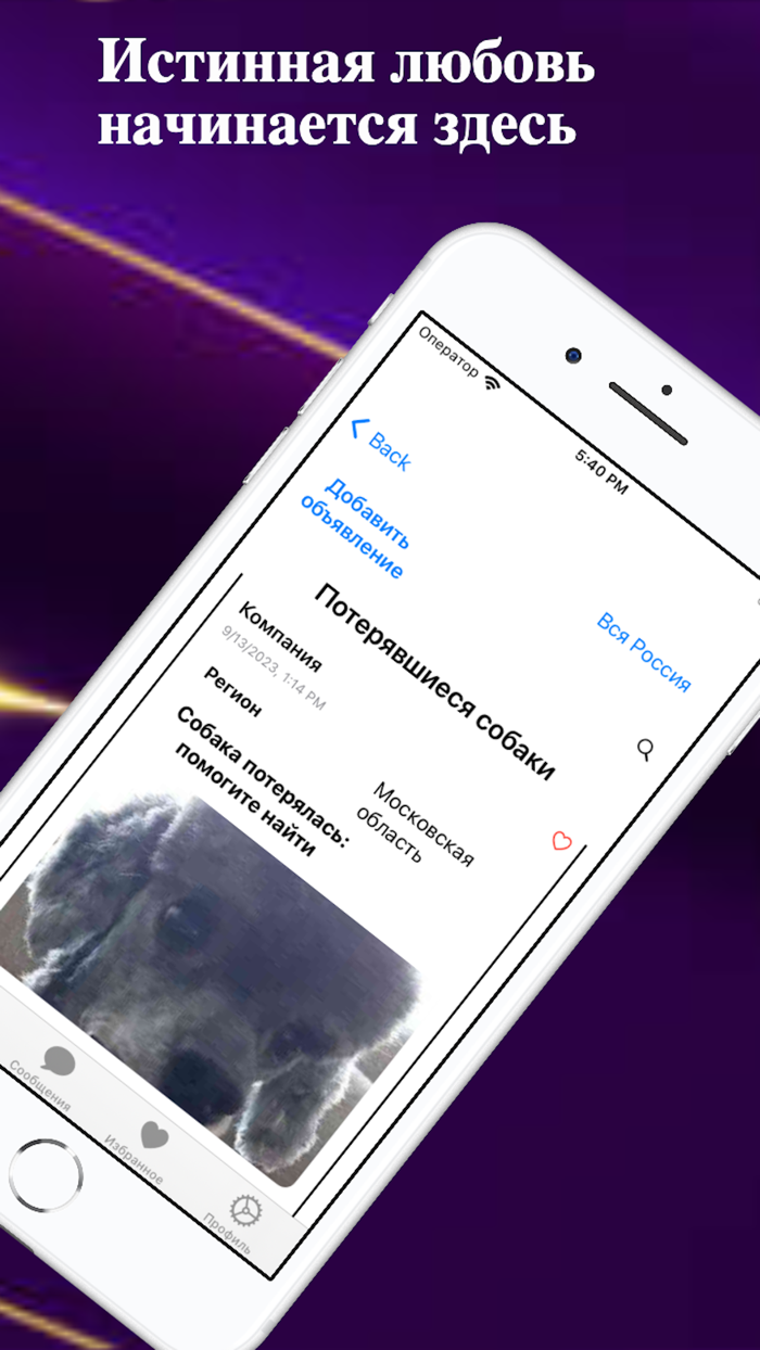 TicDog выбор домашних животных