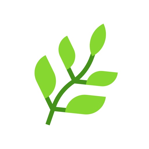 绿叶加速器 - Green加速器 iOS App
