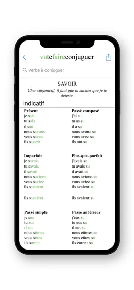 Game screenshot French Conjugation. hack