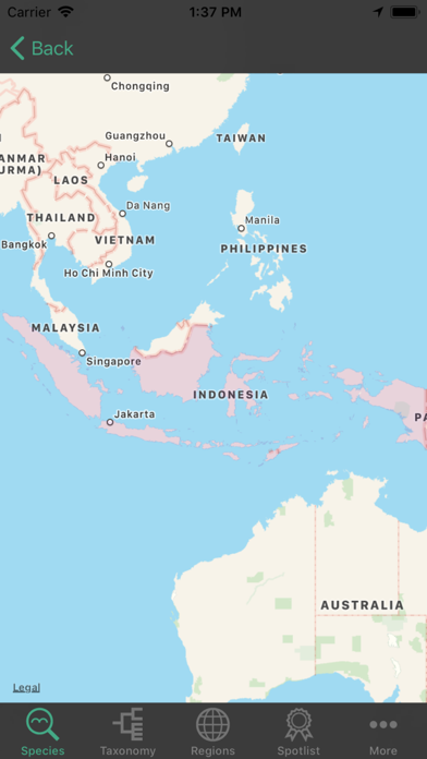 SENED BirdWorld Screenshot