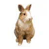 Rabbit photo sticker contact information