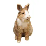 Rabbit photo sticker App Support