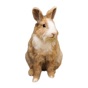 Rabbit photo sticker app download