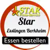 Star Esslingen Berkheim problems & troubleshooting and solutions