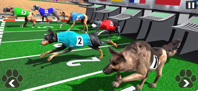 Racing Dog Simulator : Crazy Dog Racing Games