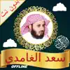 Quran Full+ Dua Saad-alGhamidi delete, cancel