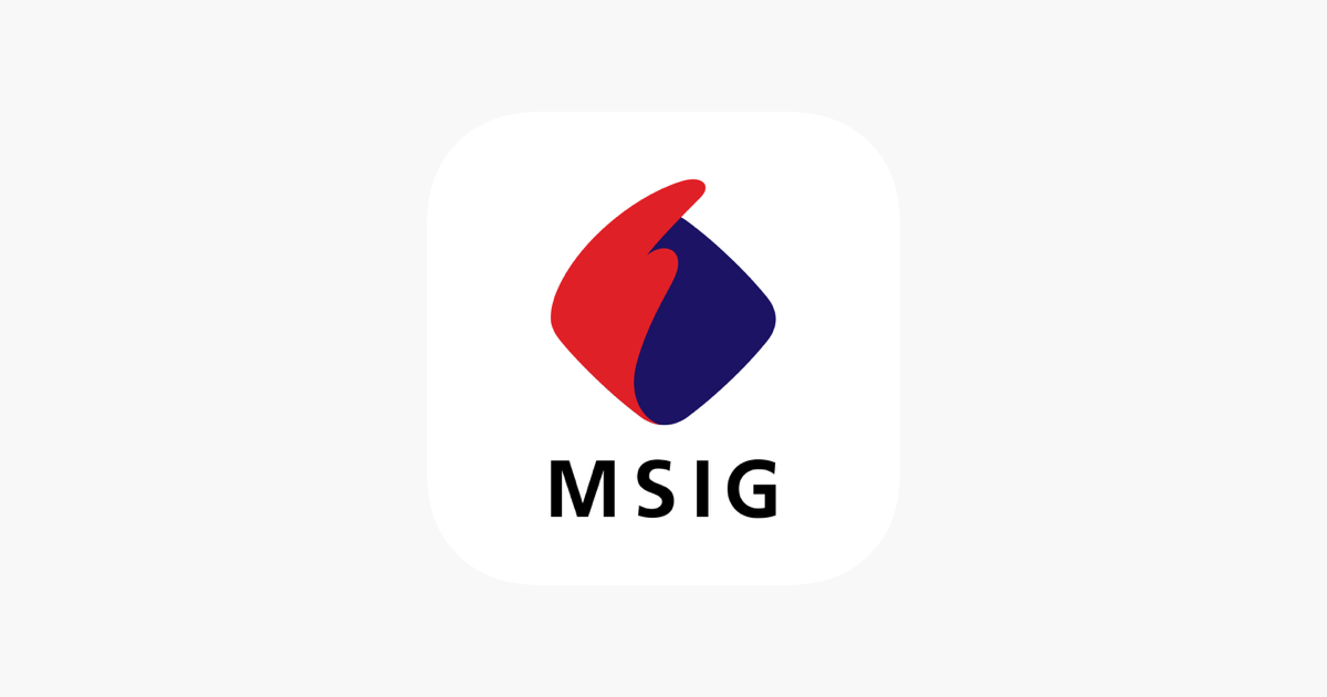 Msig insurance