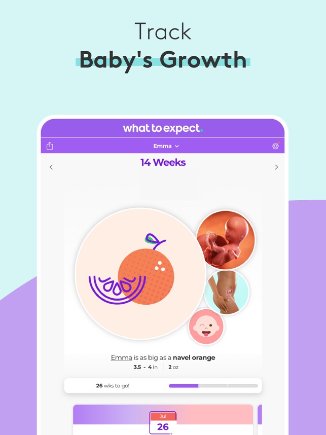 Pregnancy & Baby Tracker - WTE on the App Store