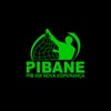 PIBANE