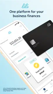 lili - small business finances iphone screenshot 1