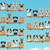 Dog Sort Puzzle