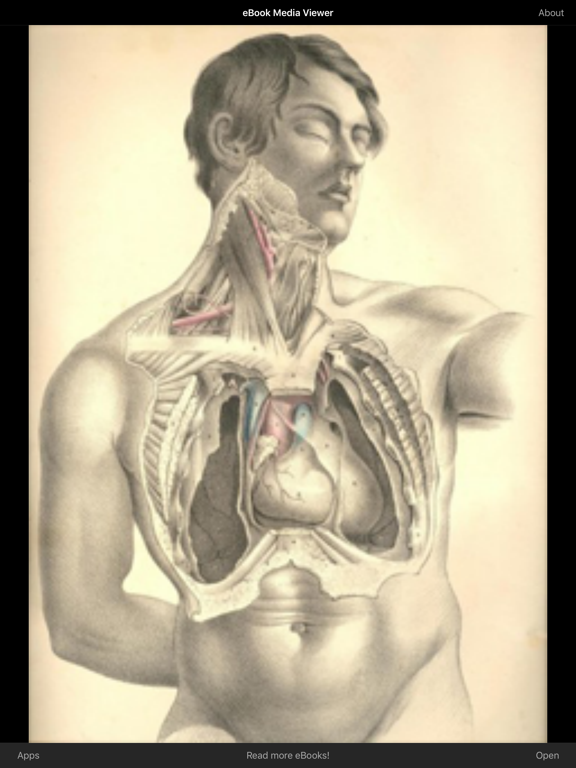 Screenshot #4 pour eBook: Surgical Anatomy