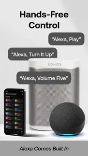speaker & headphones connect iphone screenshot 4