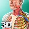 Human Anatomy icon