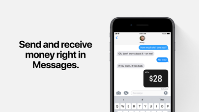 Apple Wallet iPhone screenshot 8 - Finance app