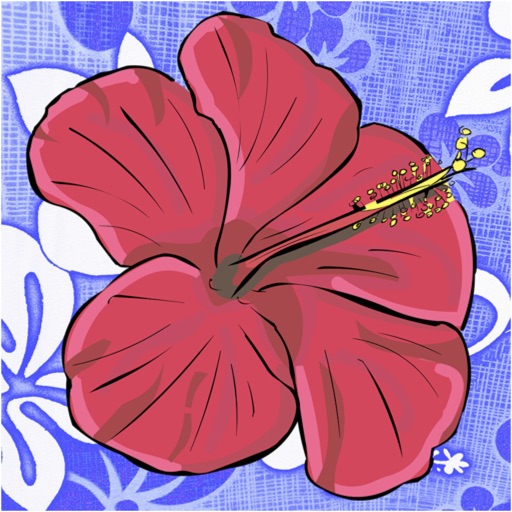 Hawaiian Words Dictionary icon