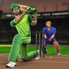 Play World Cricket League icon