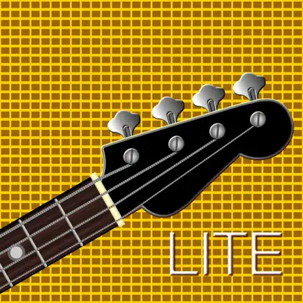 Bass Grooves. Читы