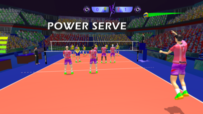 Enjoy volleyball Screenshot