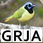 Download Bird Code Lookup app