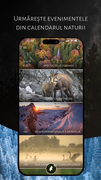 România Sălbatică Screenshot