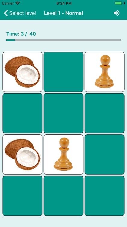 Brain game. Picture Match