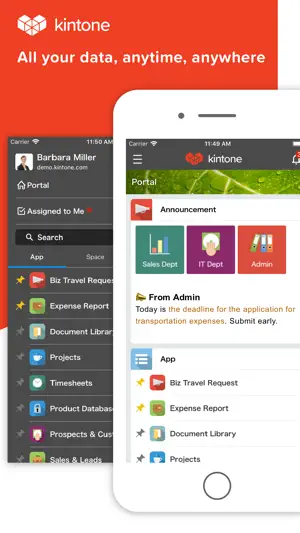 kintone screenshot 1