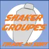 Shaker Groupes problems & troubleshooting and solutions