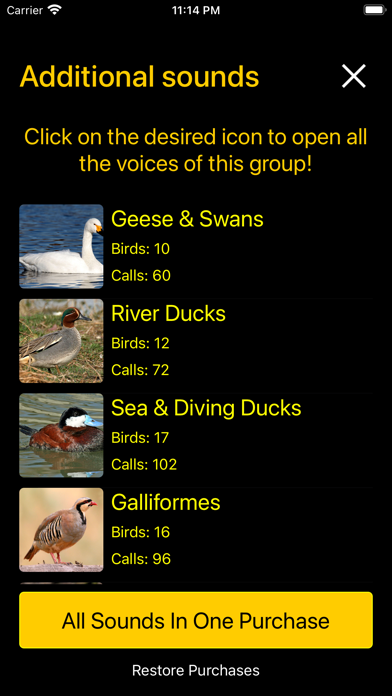Birds of North America: Sounds Screenshot
