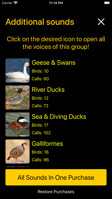 Birds of North America: Soundsのおすすめ画像7