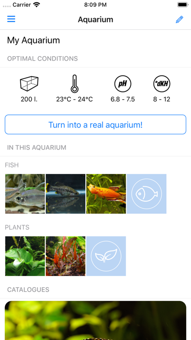 Aquareka Screenshot