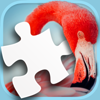 Jigsaw Puzzle of the Day HD