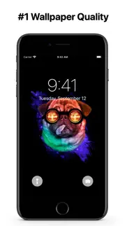 dogs wallpapers 4k hq notch problems & solutions and troubleshooting guide - 1