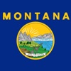 Montana Classic Solitaire icon