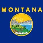 Montana Classic Solitaire App Positive Reviews