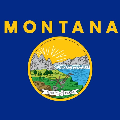 Play Gaps Solitaire (Montana)