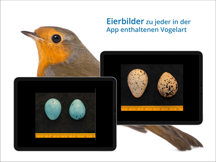 NABU Vogelwelt