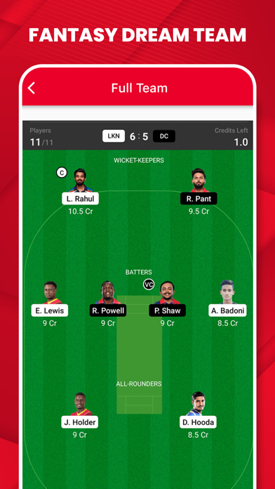 Dream Team 11 Live Cricket Screenshot