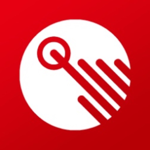 赛格车联 Download