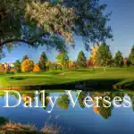 Daily Verses Calendar App Positive Reviews
