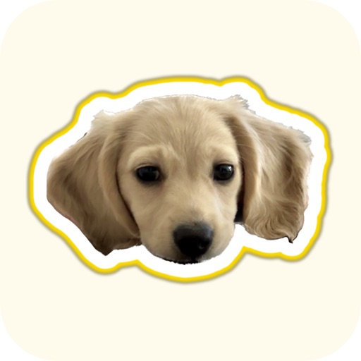 Fluff - Only Pets iOS App