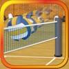 Spike the Volleyballs - iPhoneアプリ