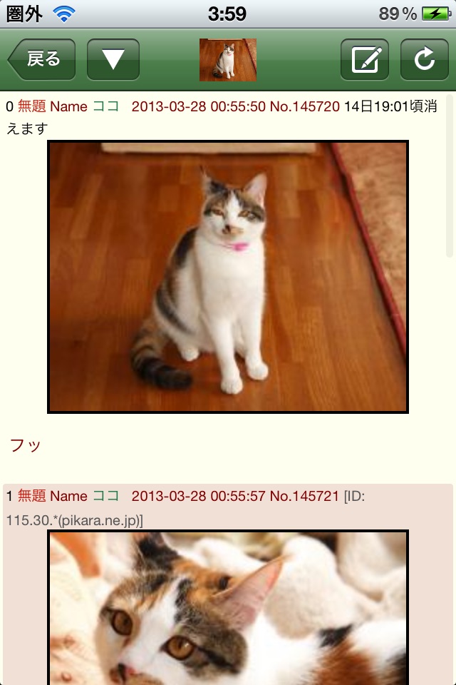 虹ぶら+ screenshot 2