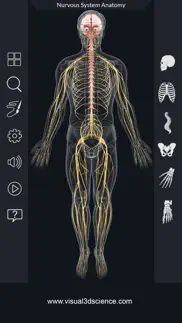 my nervous system anatomy iphone resimleri 1