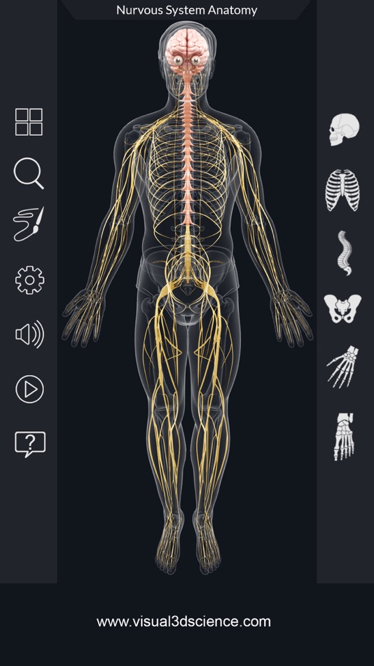 #1. My Nervous System Anatomy (iOS) 由: Santosh Chavan