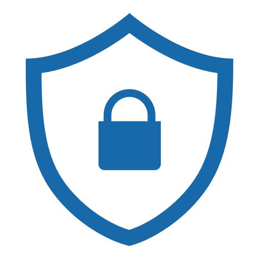 SSL Certificate Test Icon