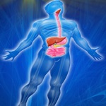 Download Digestive System Trivia app