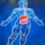 Digestive System Trivia App Cancel