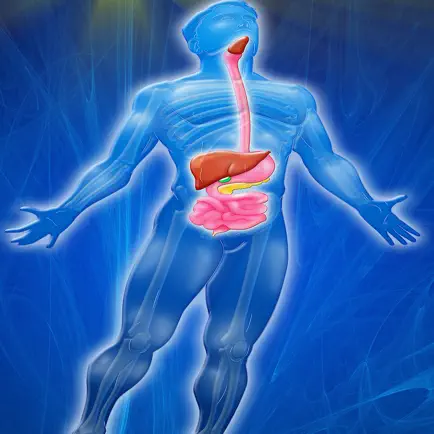 Digestive System Trivia Cheats